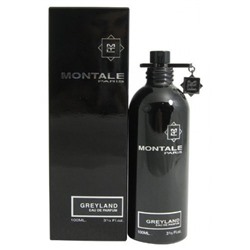 Montale Greyland 100 ml