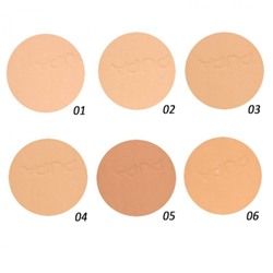 Пудра для лица PP Silk Touch Compact Powder 02