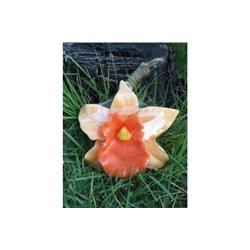 Ароматическое мыло «Оранжевая орхидея», «Orchid Orange» Aroma Soap