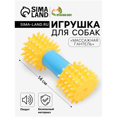 Игрушка для собак пищащая "Массажная гантель", 14 см, жёлтая/голубая