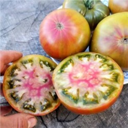 Помидоры Аляска Медная Река — Copper River Tomato (10 семян)