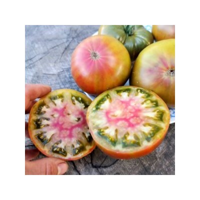 Помидоры Аляска Медная Река — Copper River Tomato (10 семян)
