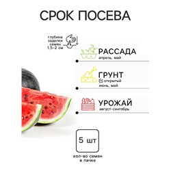 Семена Арбуз Сахарная избушка (УД) Е/П , Е/П,  5 шт.