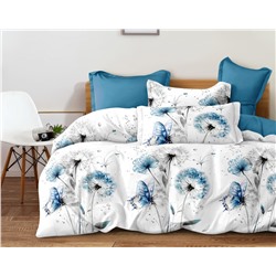 Постельное белье Зима-Лето из поплина с окантовкой ЗЛПО-3288