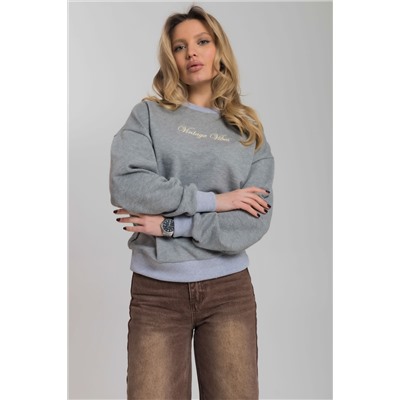 Толстовка М325277ВШс