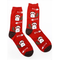 Носки р.35-40 Голодный Котик