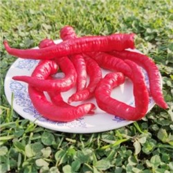 Деликатесный Перец Джимми Нарделло — Jimmy Nardello Pepper (10 семян)