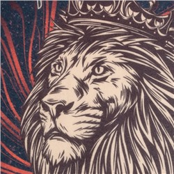 Набор подарочный «Этель. Настоящему мужчине»: плед, носки, кружка