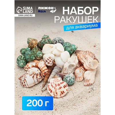Набор ракушек «Пижон Аква», 200 г, микс №1