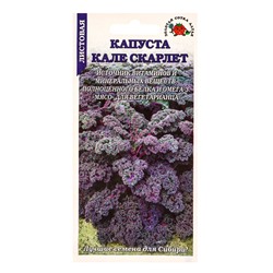 Семена Капуста «Кале Скарлет листовая», 0.3 г, красная, «Золотая Сотка Алтая»