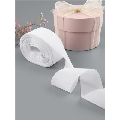 Лента капроновая, 50 мм, 100±5 м, белая