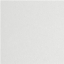 Холст на картоне «Гамма. Студия», хлопок 100%, 40×60 см, акриловый грунт, мелкозернистый