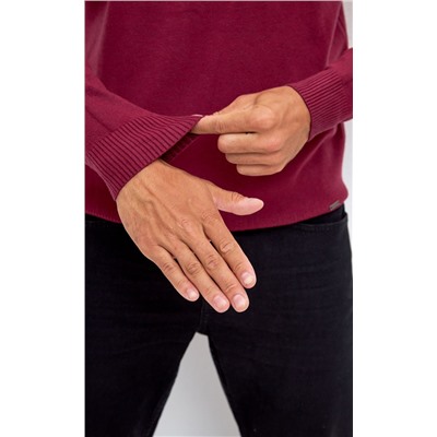 Водолазка мужская F121-01-868 бордовая