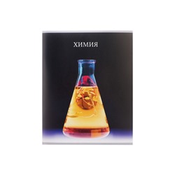 Предметная тетрадь по химии Calligrata TOP «Школьный стиль», 48 листов, в клетку, со справочным материалом, пластиковая обложка