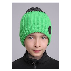 Шапка 1040988