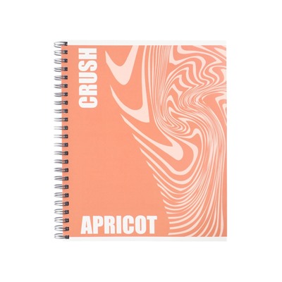 Тетрадь 96 листов в клетку, на гребне, Apricot, МИКС