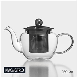 Заварочный чайник Magistro «Калиопа», 250 мл, 15×8×9 см, металлическое сито, стекло