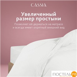 CASSIA ЛЮКС Страйп Сатин бел Простыня 230х250-1, 1 пр., хл/сатин