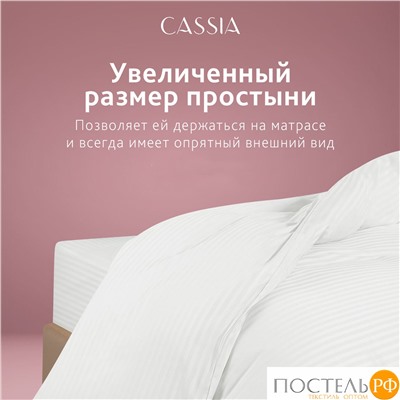 CASSIA ЛЮКС Страйп Сатин бел Простыня 230х250-1, 1 пр., хл/сатин
