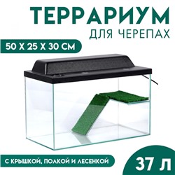 Террариум для черепах 37 литров, с крышкой, полкой и лесенкой, 50×25×30 см