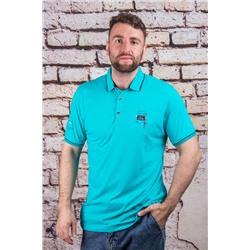 Футболка 2481 зелёный CAHOTER