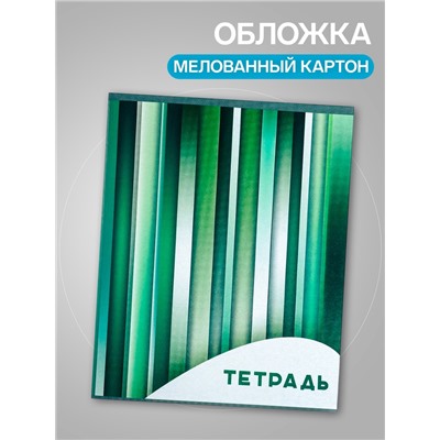 Набор тетрадей, 96 листов в клетку, Calligrata «Яркие полосы», серые листы, 4 штуки
