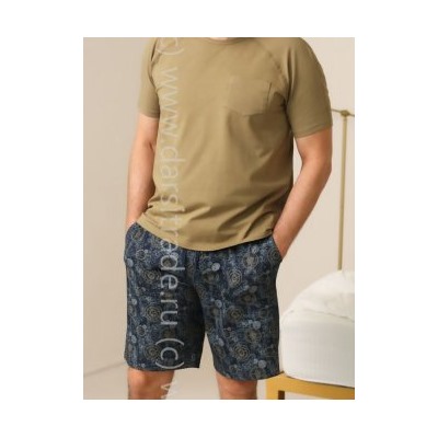 Футболка мужская №2528M-20197 Time Almando Melado Дроп