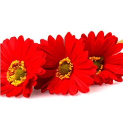 Цветок искусственный Гербера 43 см красный / 1501 /уп 56/560/ латэкс