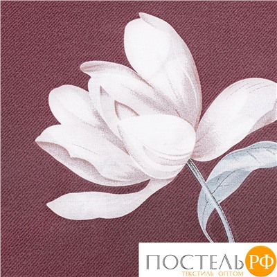 CASSIA СИЛЬВАН КПБ 200х220( +/-5см)-1/215х250-1/50х70-2, 4 пр., хл./сатин