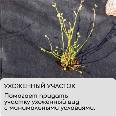 Круг приствольный, d=0.6 м, плотность 60 г/м², спанбонд с УФ-стабилизатором, набор 5 шт., чёрный, Greengo, Эконом 20%