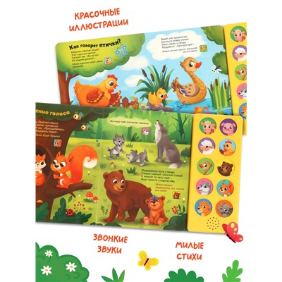 Музыкальная книга «Где мой малыш?», 10 звуков