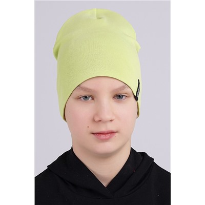 Шапка 1042653