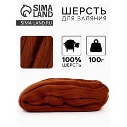 Шерсть для валяния 100 г, цвет т.золото 219