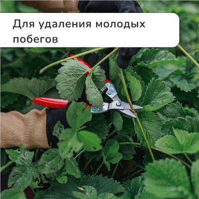 Ножницы садовые, 7" (18 см), с металлическими ручками, обрезиненная ручка, красные, Greengo