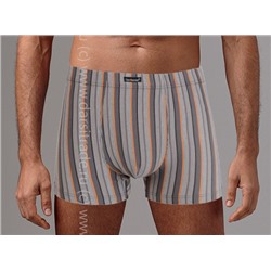 Трусы мужские GS7866 Gentlemen шорты
