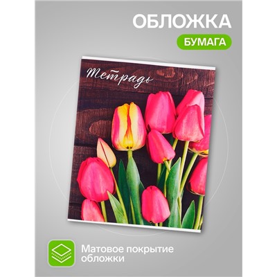 Набор тетрадей 48 листов в клетку, Calligrata «Цветы», 5 штук