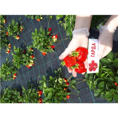 Гарда (крупномер), 6 шт.