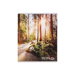 Набор тетрадей, 96 листов в клетку, Calligrata «Природа», серые листы, 4 штуки