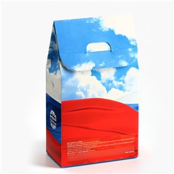Чай подарочный «23 февраля», вкус: лимон, 20 г.