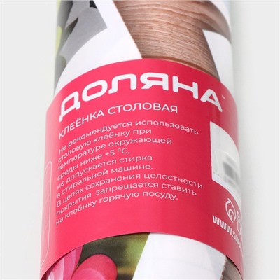 Клеёнка на стол Доляна «Фото», на нетканой основе, ширина 137 см, толщина 0.7 мм, рулон 20 м