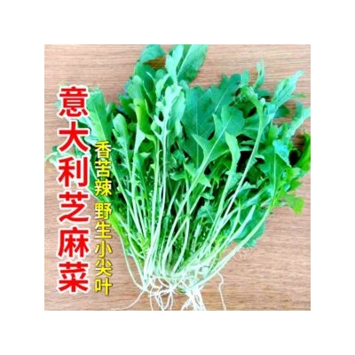 Китайская Горчичная Руккола — 芝麻菜 (100 семян)