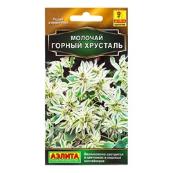 Семена цветов Молочай Горный хрусталь  Золотая серия, Ц/П,20 шт.