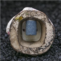 Распылитель «Раковина с жемчужиной», 5×3.5×5 см