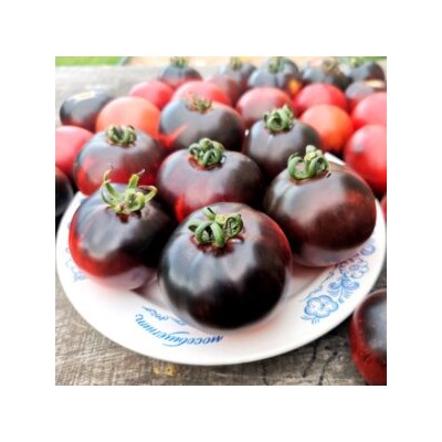Помидоры Черная Бабочка — Black Butterfly Tomato (10 семян)