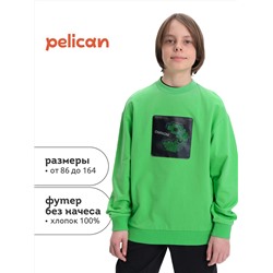 PELICAN Толстовка