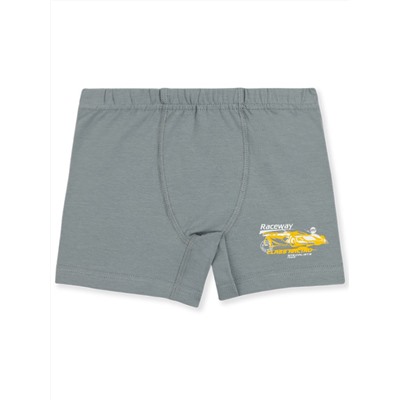 3540 Боксеры для мальчиков многоцвет (BAYKAR)