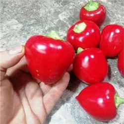 Перец Яблочный Онтара — Ontara Pepper (10 семян)