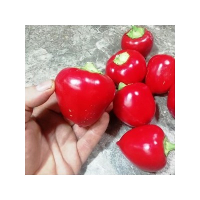 Перец Яблочный Онтара — Ontara Pepper (10 семян)