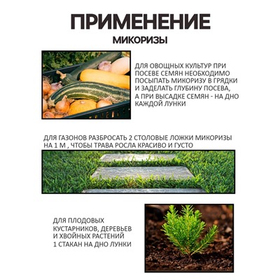 Микориза на вермикулите «Рецепты Дедушки Никиты», 250 мл