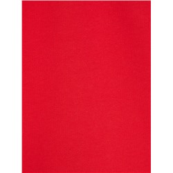 Брюки спортивные прямого кроя 0099, красный